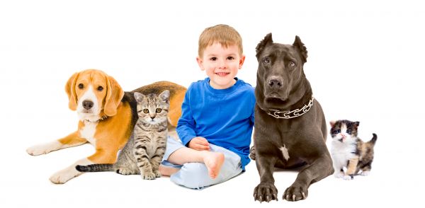 San Jose Pets